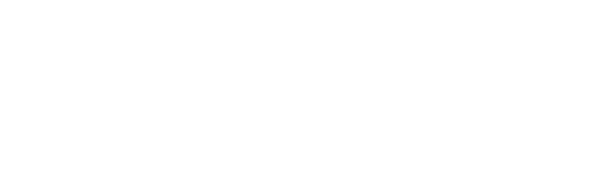 Cosmo Consult